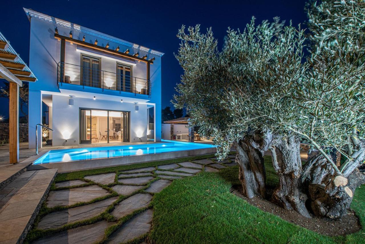 Stargaze Villas Panormos  ภายนอก รูปภาพ